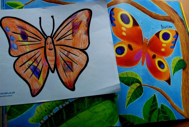 Mad About Mininbeasts butterfly picture