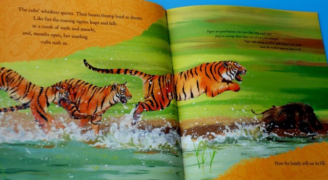 Nature Storybook - inside the Tigress book, stunning imagery