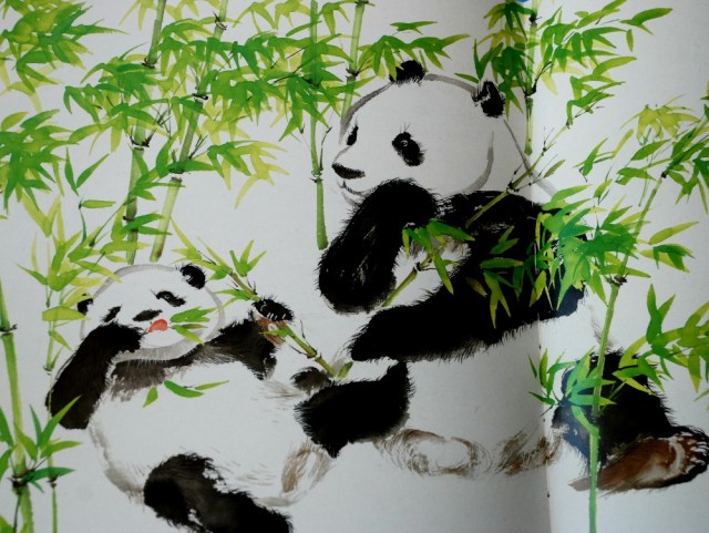 Nature Storybook - Tracks of a Panda