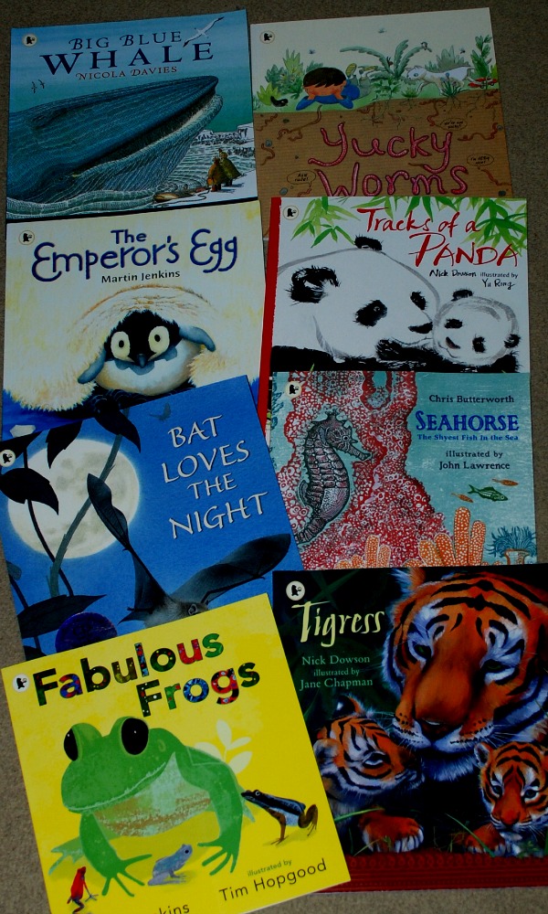 Nature storybooks we are using to learn about animals
