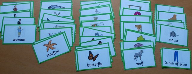 Plural word cards from Twinkl