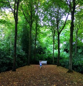 running-under-the-trees-at-a-national-trust-site