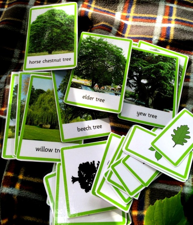 twinkl-3-part-tree-cards-a-fun-way-to-get-the-kids-identifying-the-trees-around-them