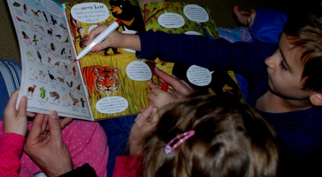 where-is-the-bear-ticking-off-the-animal-spotted