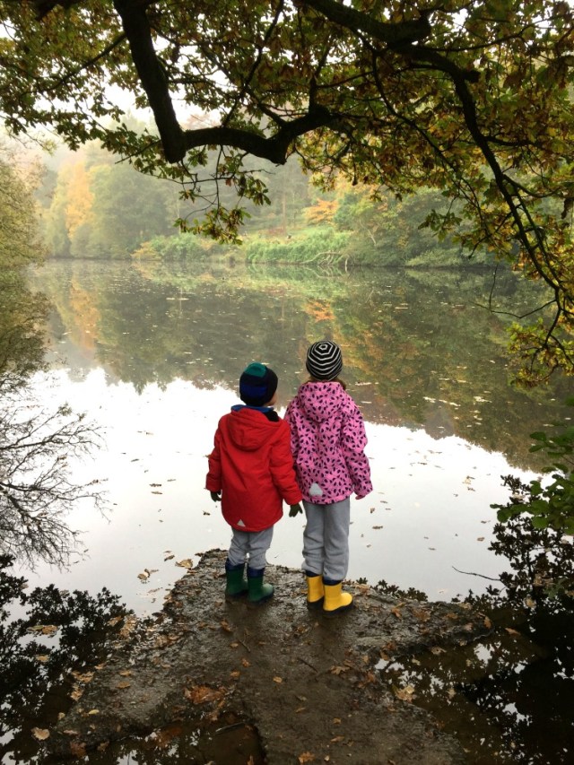an autumn walk at winkworth national trust site