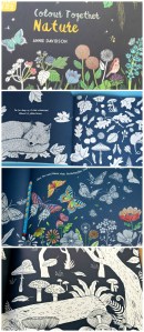 Colour Together Nature Book a stunning book which enourages family colouring