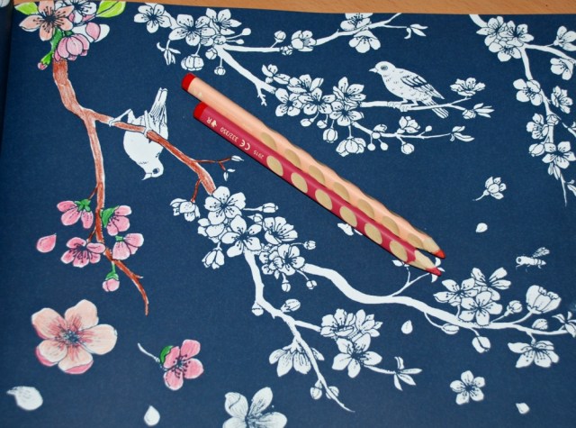 Colour Together Nature Book - spring blossoms