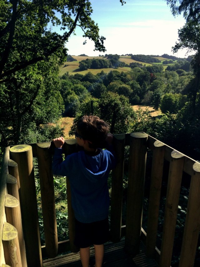 inclduing nature in our home-education