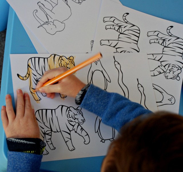 Stick puppets in black and white and then the kids colour them in