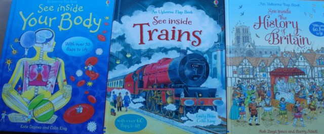 Favourite three Usborne Flap Books