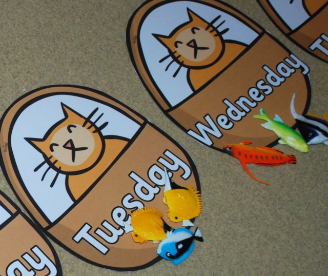 Hamish the cat with different fish as part of working out story sums