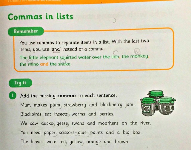 Year 2 Grammer pupil book from Schofield&Sims
