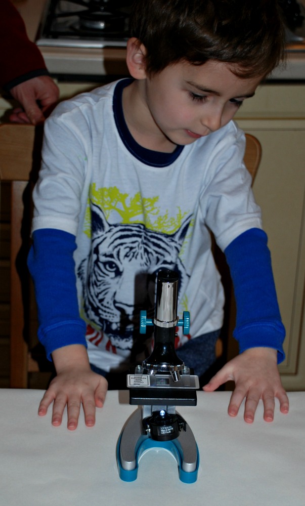 Microscope in the home encourages young kids to explore new topics