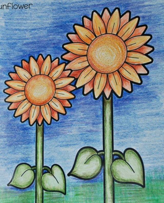Teaching my daughter how to shade by using a sunflower colouring in page from Red Ted Art