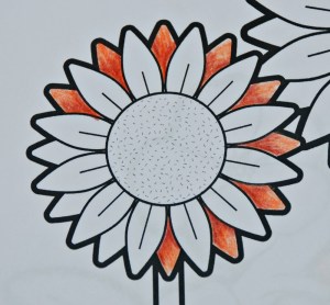 Using brown instead of black to create shade in sunflower pictures