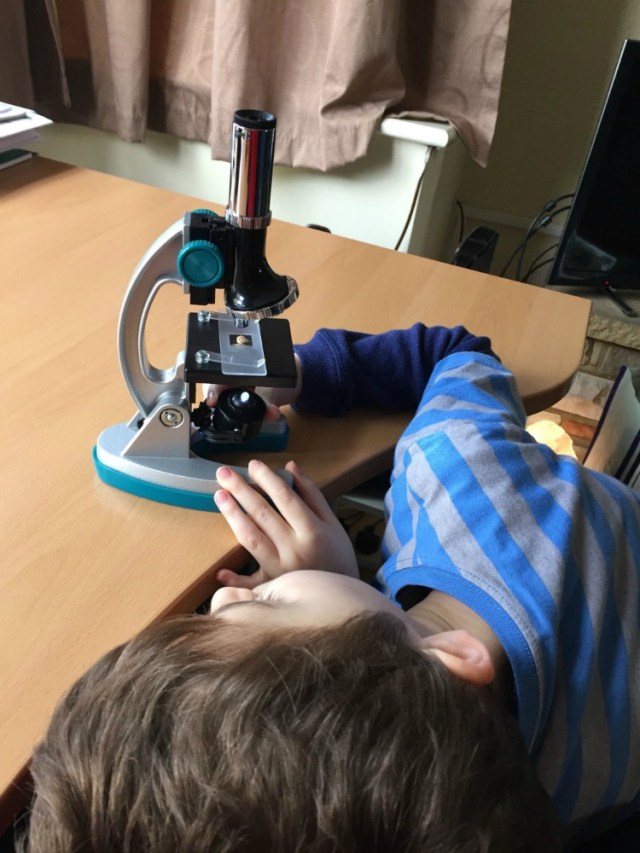 MicroPro miscroscope being examined by a 6 year old