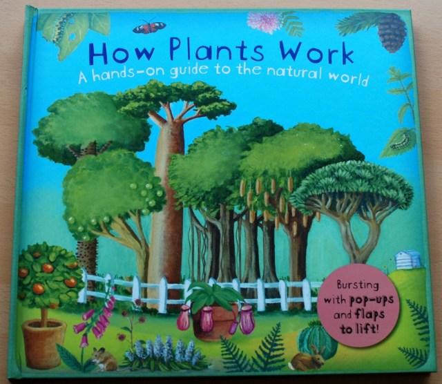 How Plants Work, a stunning children's book which deals with plants, how they grow and what we use them for