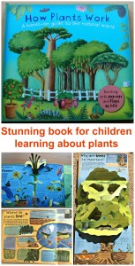 How Plants Work. A stunning children's book all about plants. A brilliant book for kids who want to learn about flowers, trees and other plants