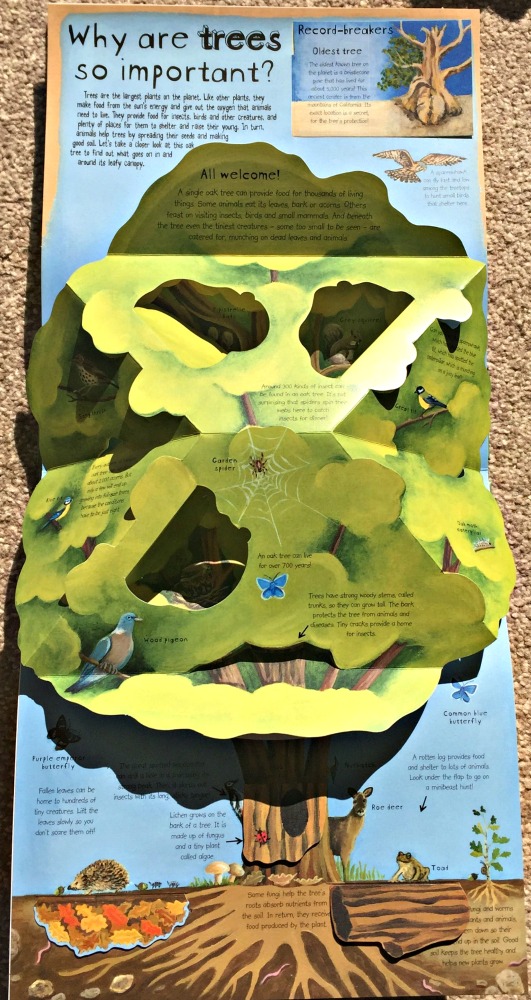 Why are Trees so important - a double page in the How Plants Work Book