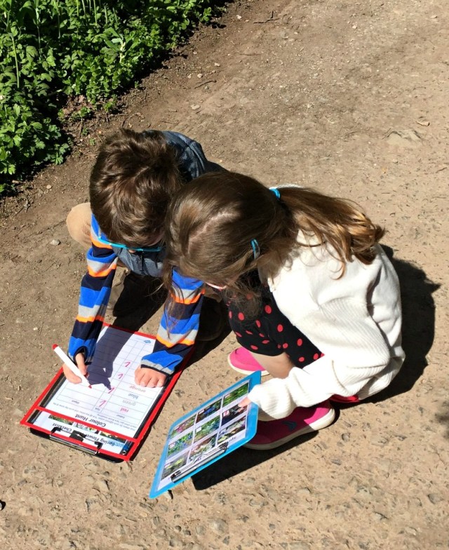 Kids doing a Spring Flower Hunt and a colour hunt