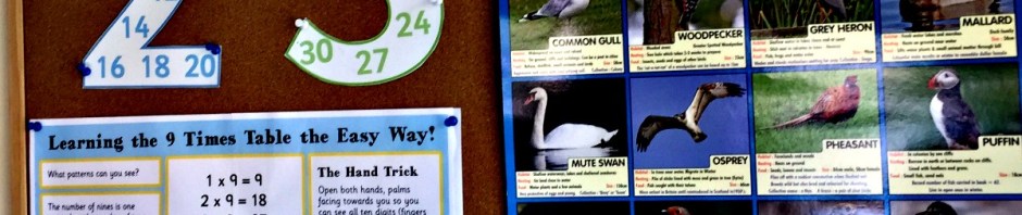 One of the kids learning boards that has a British Bird Poster and some maths goodies on it