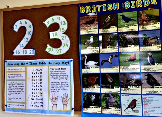 One of the kids learning boards that has a British Bird Poster and some maths goodies on it