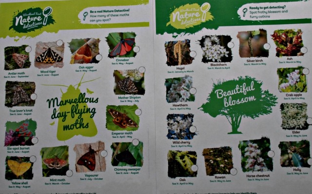 Marvellous day-flying moths and beautiful blossom spotter ID sheets from the Woodland Trust