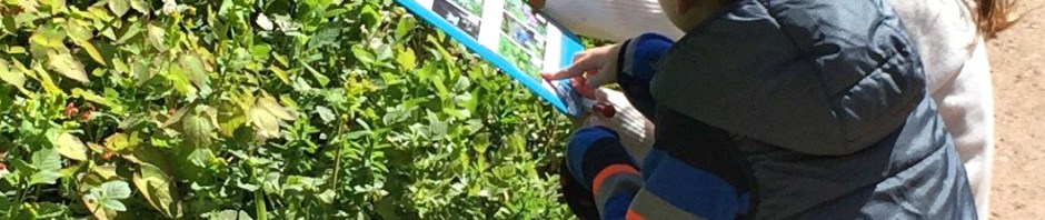 Working together tryingg to decide of they have spotted the correct flower