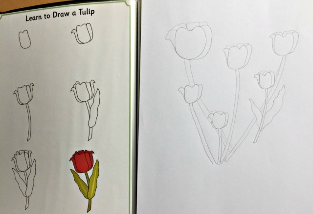 How to Draw Tulips from Activity Village