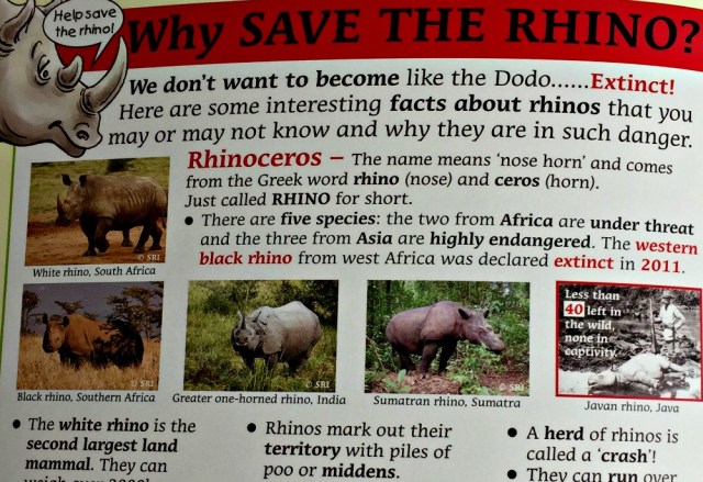 Rescuing Rhino after the fictional story it includes some facts about orphaned animals