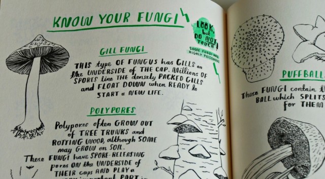 Hello Nature, Draw, Colour Make and Grow book for children. Includes lots of information and activities that are nature related like these pages about fungi