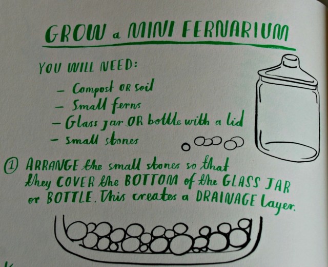 Hello Nature, Includes growing, making activities like this Grow a Mini Fernarium