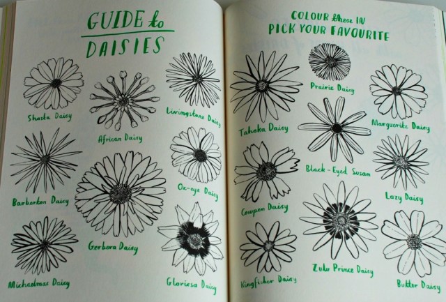 Hello Nature, children's book which has stunning colouring, drwing making activities and lots of information scattered amongst the pages like the Guide to Daisies