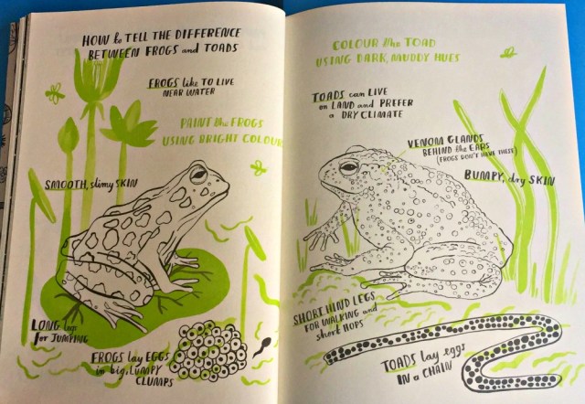 Hello Nature children's book includes the difference between frogs and toads