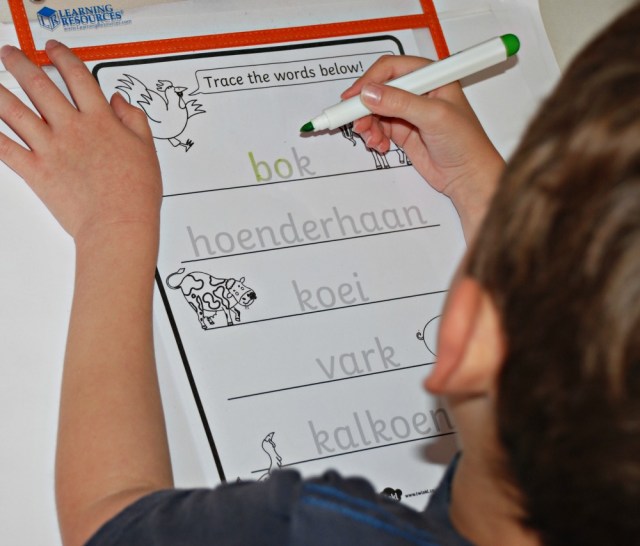 Twinkl Resources have a large selection of editable resources like this trace over words page which you can translate into any other language