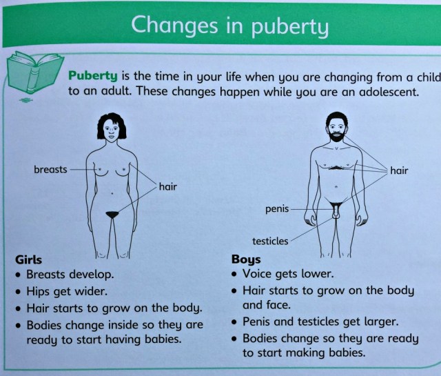 Understanding Science Our Bodies Changes in Puberty