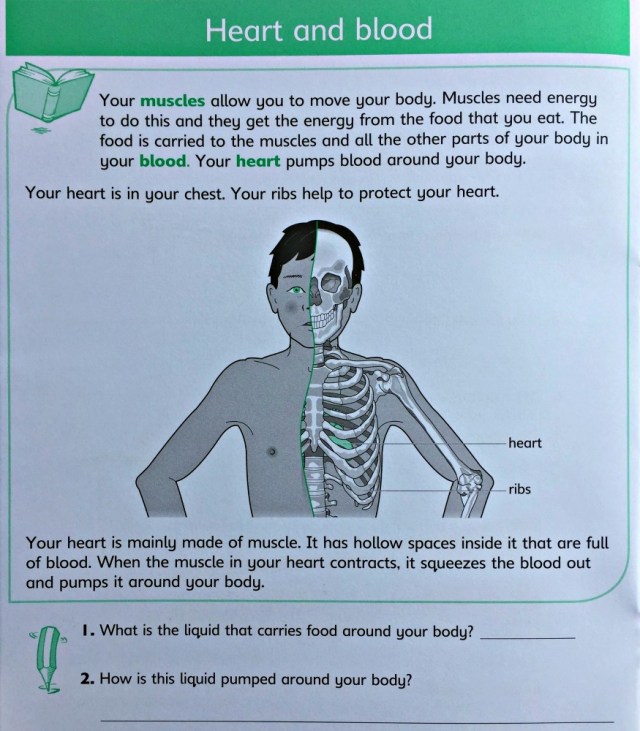 Understanding Science Our Bodies Workbook includes a section on the Heart and blood