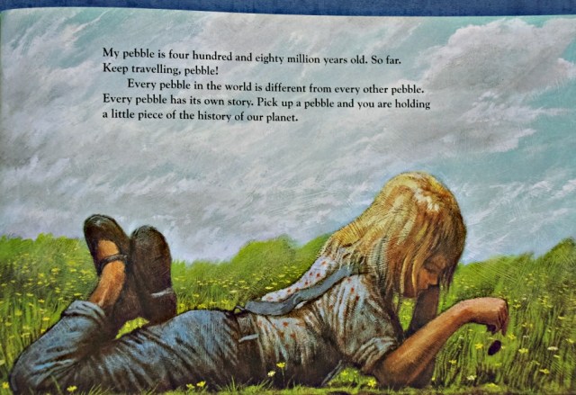 The pebble in my Pocket. The History of the earth