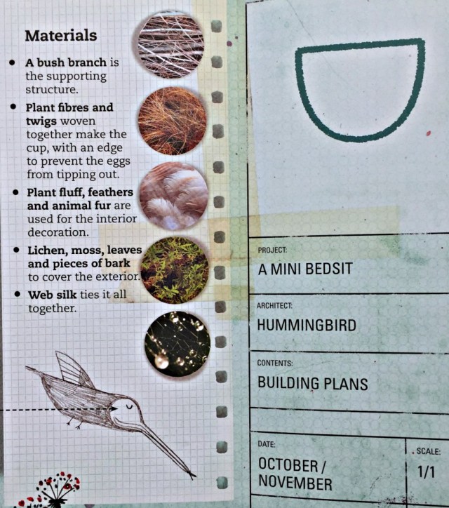 Animal Architects. Each animal page includes a description of the materials used