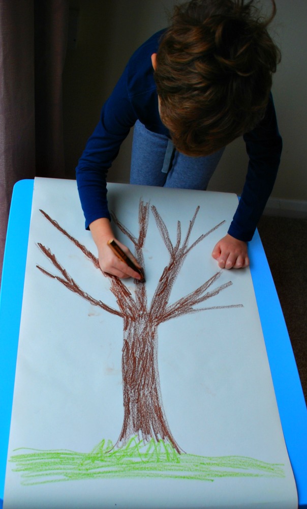 Drawing his acorn tree for his number bonds to go onto