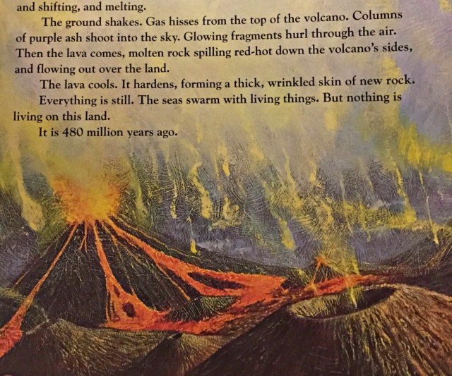 The Pebble in my pocket. A children's book about how the earth formed and changed over the years