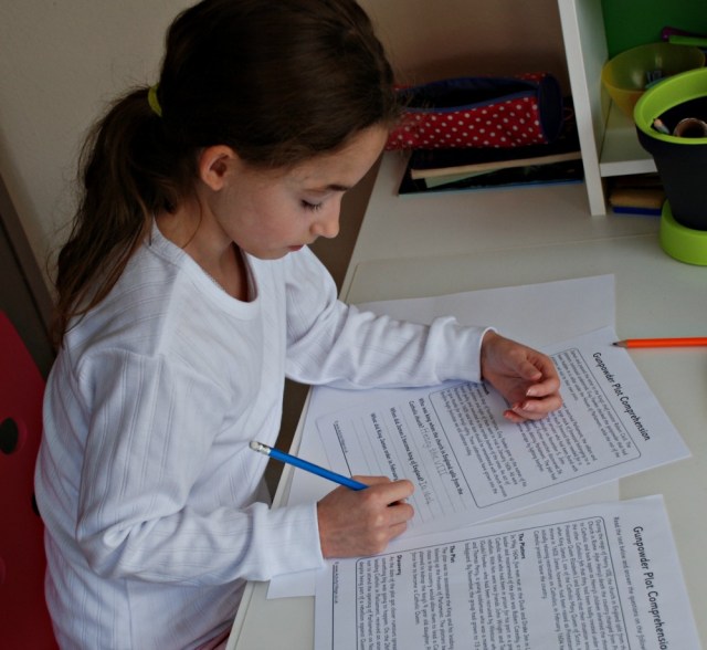 Activity Village the gunpowder plot comprehension pages