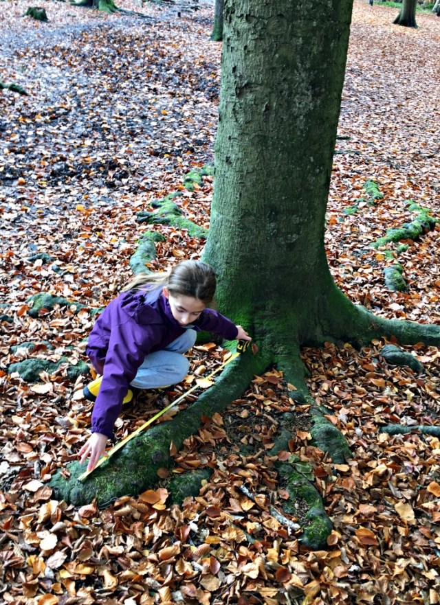 Going on a measuring walk in our local wooded area