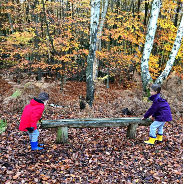 Take the kids on a measuring walk in the woods