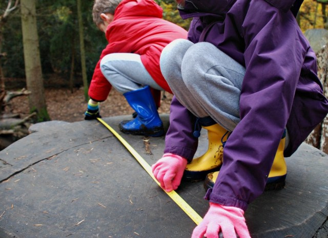 Let's go a measruring walk in the woods. Just bring a tape measure with