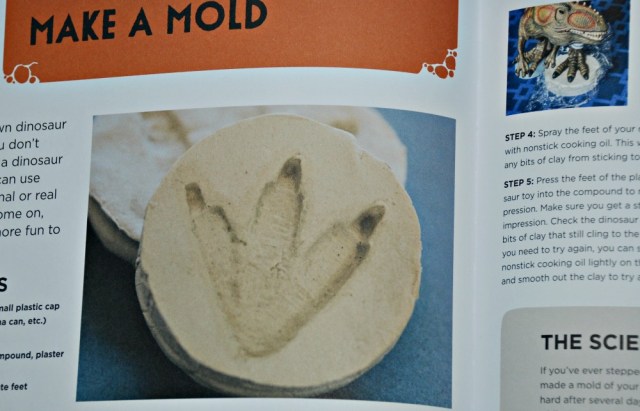 Geology Lab for Kids. Making a mold. Lots of fun experiments for kids to try at home