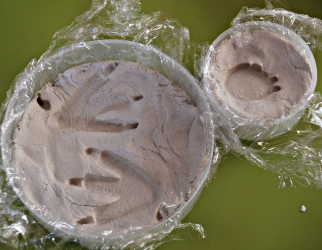 Geology Lab for Kids. Hands-on fun ideas to get kids involved like this dinosaur mold