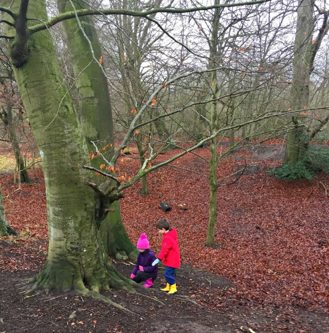 Recharging at one of the local National Trust Sites