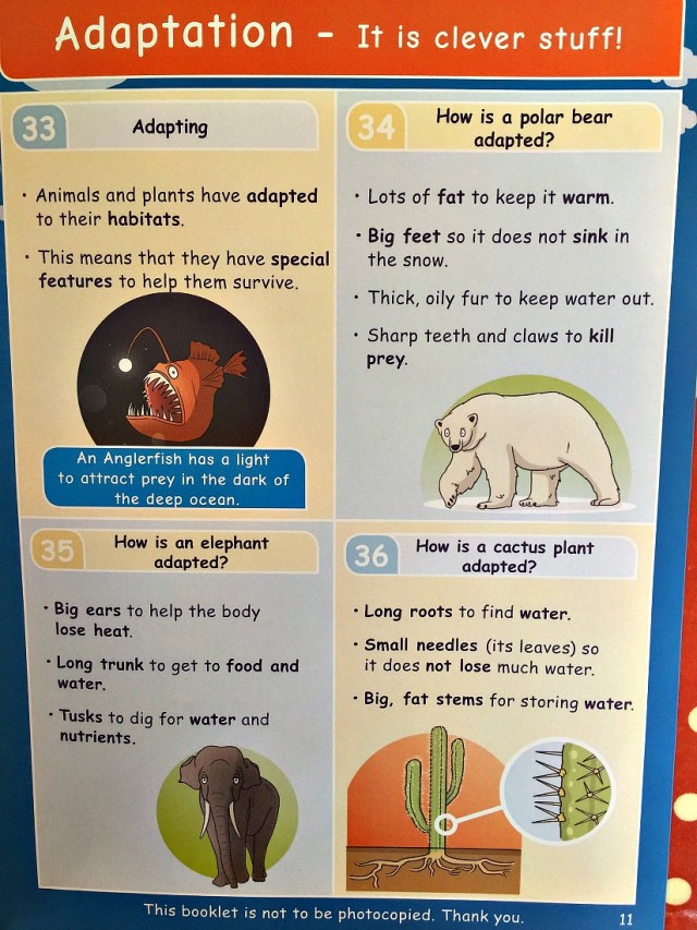 Living Things and Their Habitats Adapation page from inside the Topic Booklet by Oaka Books