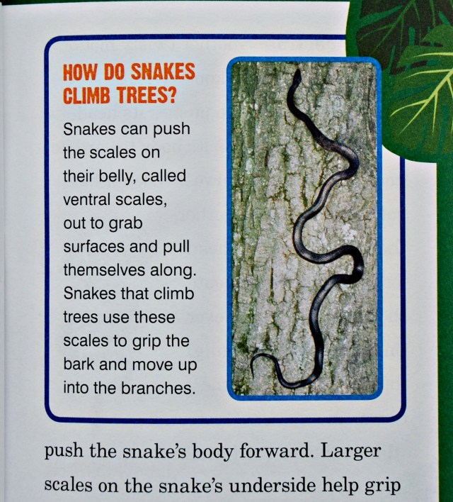 Animal Planet Chapter Book Snakes. Great chapter books for kids you are interested in animals